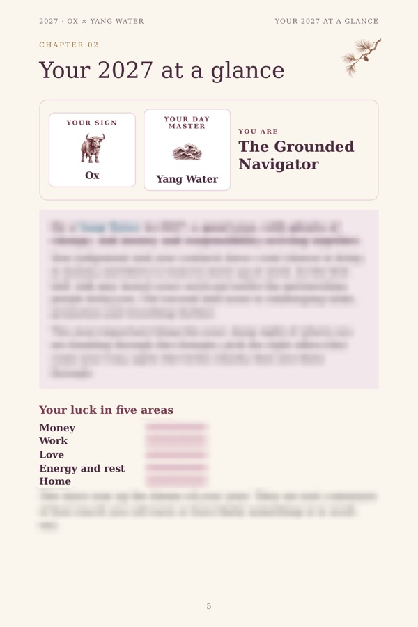 Your 2027 at a glance — sample page, details blurred