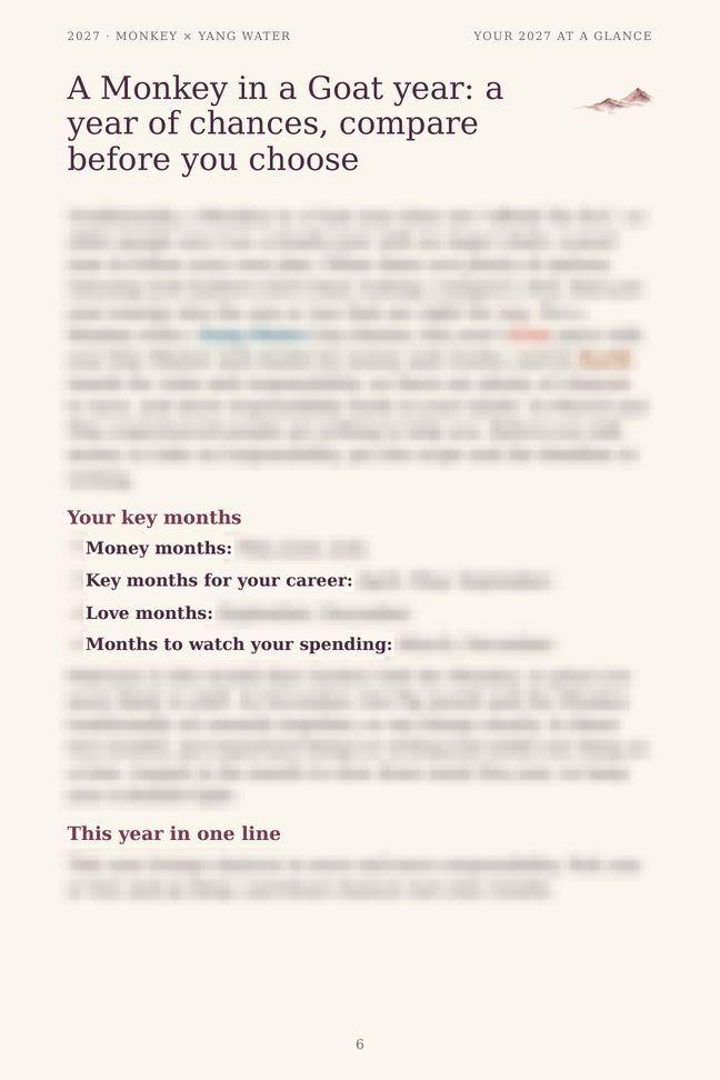 Monkey 2027 guide sample page: Your 2027 at a glance (details blurred)