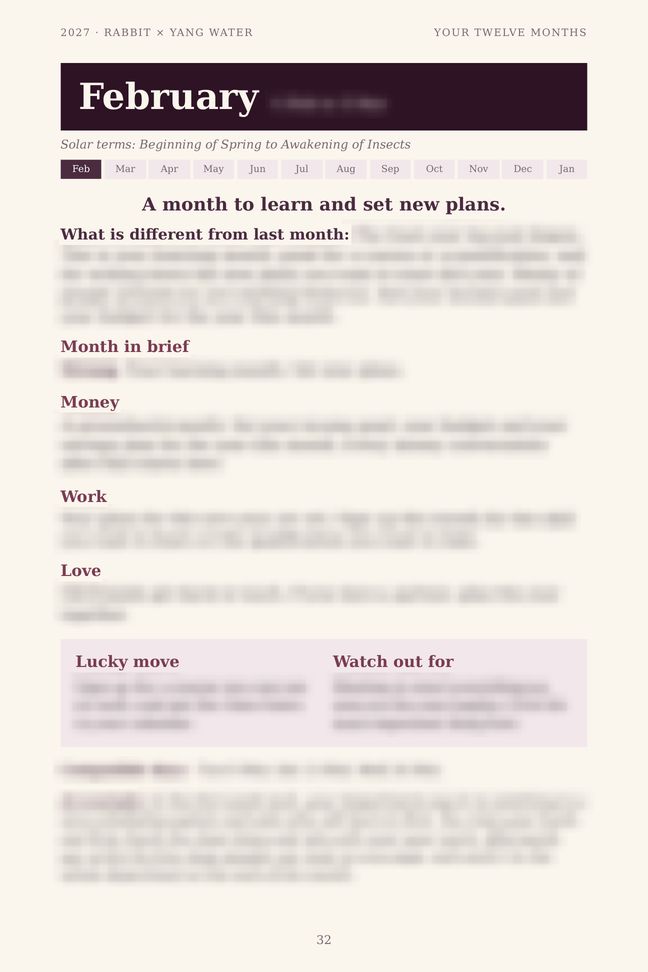 Rabbit 2027 guide sample page: One page for every month (details blurred)